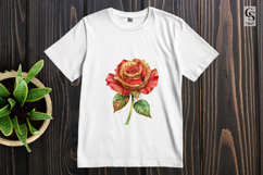 Vintage Red Rose Floral Illustration Clipart Sublimation PNG Product Image 2