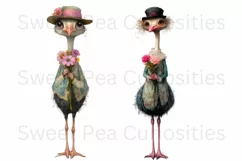 Birds, Ostrich, Ephemera, PNG, watercolor, Clipart Product Image 3