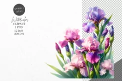Irises clipart, Flowers clipart, Flowers sublimation Product Image 1