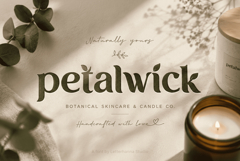 Ekainos Font: Nature-Inspired Botanical Serif Font Product Image 8