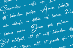 Monetera Signatura a Handwritten Font Product Image 3