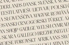 Stonebury Sculpted Display Serif Font Product Image 3