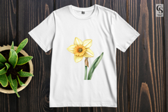 Daffodil Flower Illustration Clipart Sublimation PNG Product Image 3