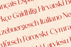 Gorga Vintage Serif Font Product Image 3