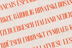 Perfectly Splendid Serif Font Elegant Display Product Image 3