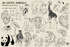Exotic animals line art collection Svg Png Eps Ai Product Image 3