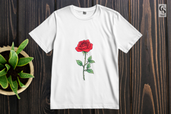 Red Rose Botanical Illustration Clipart Sublimation PNG Product Image 2