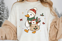 Cute Christmas Duck PNG, Christmas Mailman Duck Sublimation Product Image 2