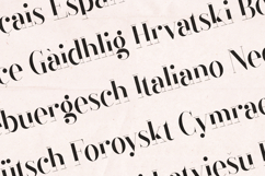 Black Goose Modern Editorial Serif Font Product Image 3