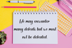 Butterfly Product Image 3