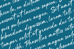 Velomi Juice Elegant Handwritten Font Product Image 3