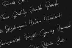 Stolid Signature Script Modern Elegant Typeface Product Image 3