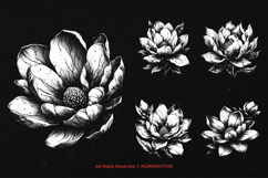10 Bundle Dark Art Magnolia Flower Botanical Floral Product Image 5