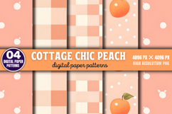 Cottage chic peach Digital Background Paper PNG Product Image 1