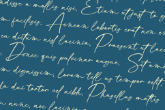 Kantilone Elegant Handwritten Font Product Image 3