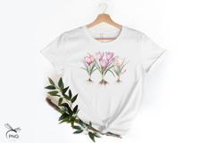 Spring flowers. Crocuses cliparts Product Image 3