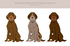 Bohemian Wirehaired Pointing Griffon Product Image 3