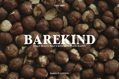 Avenger - Vintage Serif Product Image 3