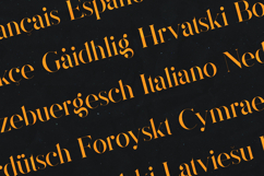 MAGOA Elegant Modern Serif Font Product Image 3