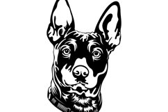 Miniature Pinscher/Dog Svg/Png/Jpg/Ai/Vector purebred breed Product Image 4