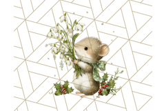 Winter Animal Masquerade Clipart PNG Woodland Animals Product Image 3