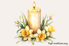 Springtime Daffodils Easter Clipart Bundle PNG Product Image 8