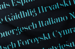 Wonderz Pulse Elegant Modern Serif Font Product Image 3