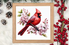 Christmas Cardinal Watercolor Clipart, Christmas Cardinal Product Image 3