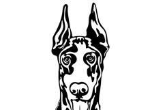 Doberman dog/Dog Svg/Png/Jpg/Ai/Vector purebred breed/Pet Product Image 4