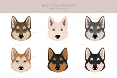 East-Siberian Laika clipart Product Image 5