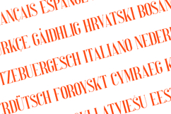 Perfectly Splendid Elegant Serif Font Product Image 3