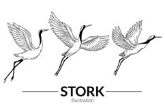 24 Set Bundle Stork Crane Swan Wild Animal Bird Hand Drawn Product Image 2