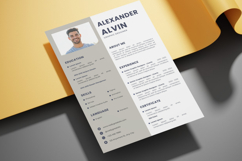04 Professional Resume Template - Canva Product Image 3