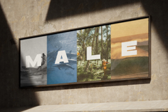 Bakers Bold Display Sans Serif Product Image 3