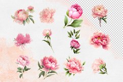 Watercolor Pink Peony Clipart Product Image 3
