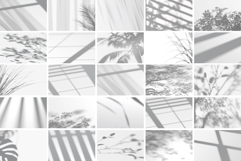 Shadow Backdrops Videos Collection Product Image 3