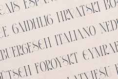 Thorn &amp; Tale Luxury High Contrast Serif Font Product Image 3