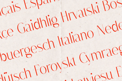 Dree Elegant High Contrast Serif Font Product Image 3