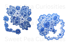 Blue Toile, Ephemera, PNG, Clipart, Junk Journal, flowers Product Image 3