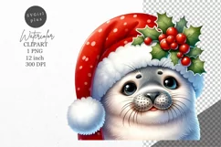 Christmas clipart, Seal clipart, Winter sublimation Product Image 1