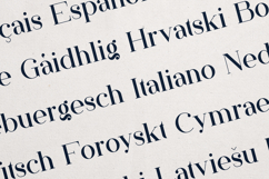 Papillon Serif Font Elegant Modern Editorial Product Image 3