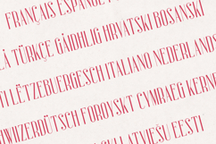 Sorcha Elegant Serif Modern Narrow Display Product Image 3