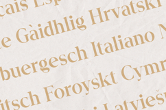 Serifora Elegant Classic Serif Font Product Image 3