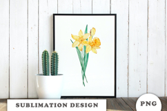 Watercolor Daffodils Flowers Bouquet png Product Image 3