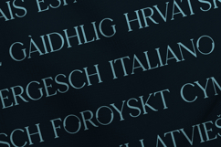 Seafont Elegant Branding Serif Font Product Image 3