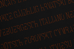 Italian Futuristic Elegant Serif Font Product Image 3