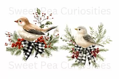 Christmas, Birds, Ephemera, PNG, watercolor, Clipart Product Image 3