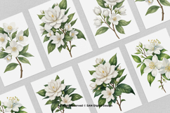 15 Bundle Watercolor Jasmine Flower Decoration Wedding Product Image 3