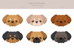 Tibetan Spaniel clipart Product Image 5