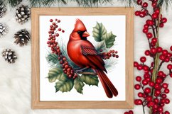 Christmas Cardinal Watercolor Clipart, Christmas Cardinal Product Image 3